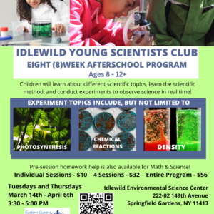 Idlewild Young Scientists Club