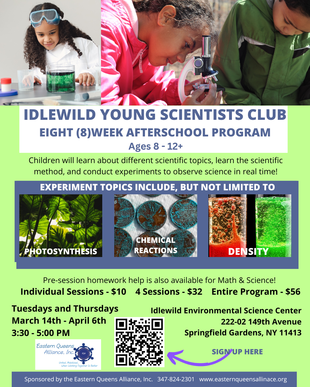 Idlewild Young Scientists Club